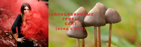 круглые Алзамай