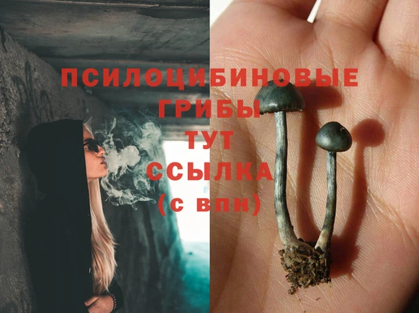 круглые Алзамай